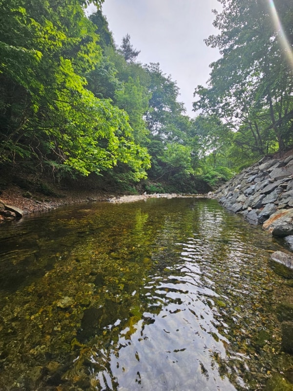 [홍천 캠핑] 계곡이 있는 캠핑장, 글램핑 추천 - 검산별빛캠핑장 -