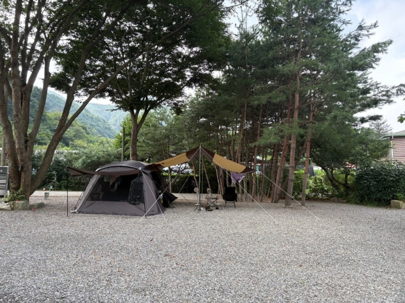 가평 캠핑 679에서 4박5일 전세캠핑! 시원한 계곡 힐링 찐후기