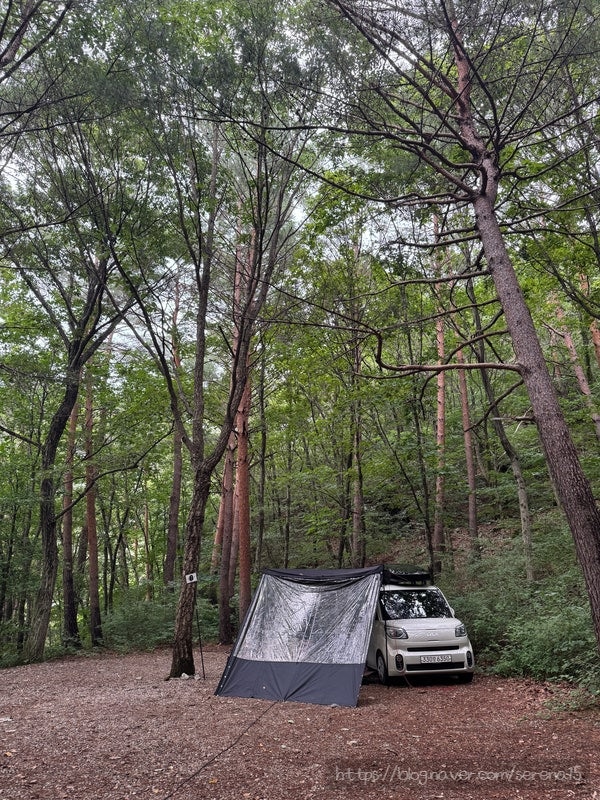 강릉 노추산 힐링캠프 이용후기(8/13~815)