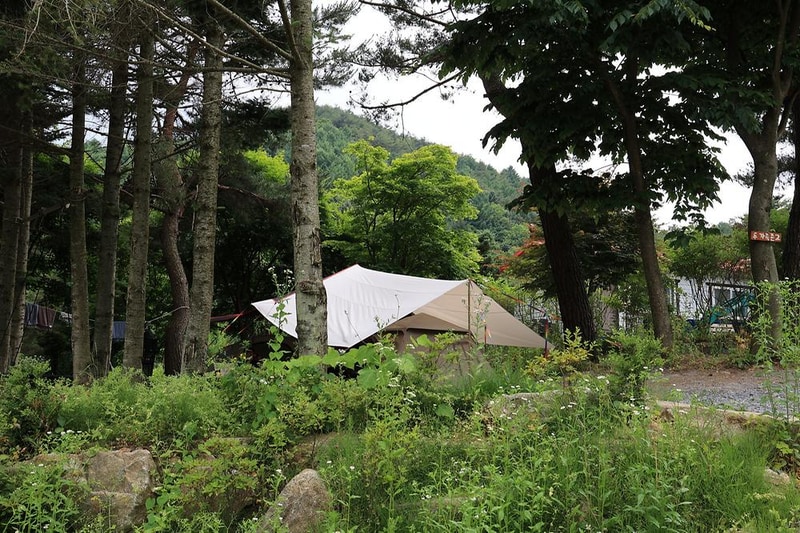 힐링인더 포레스트 시설 사진 18