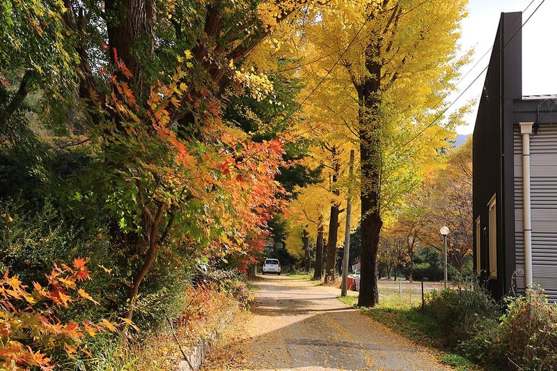 일영Star캠핑장 시설 사진 10