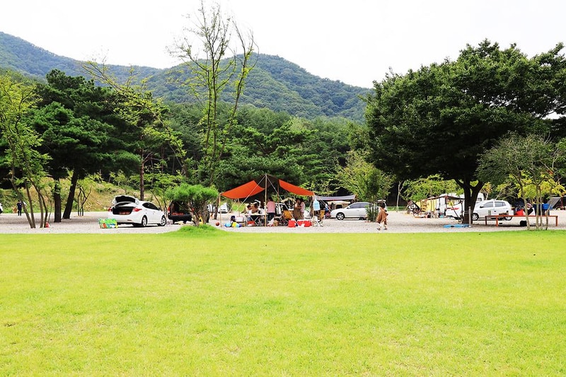 경주 더숲 관광농원 시설 사진 4