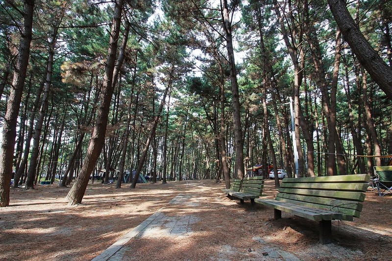 솔내음 야영장 시설 사진 13
