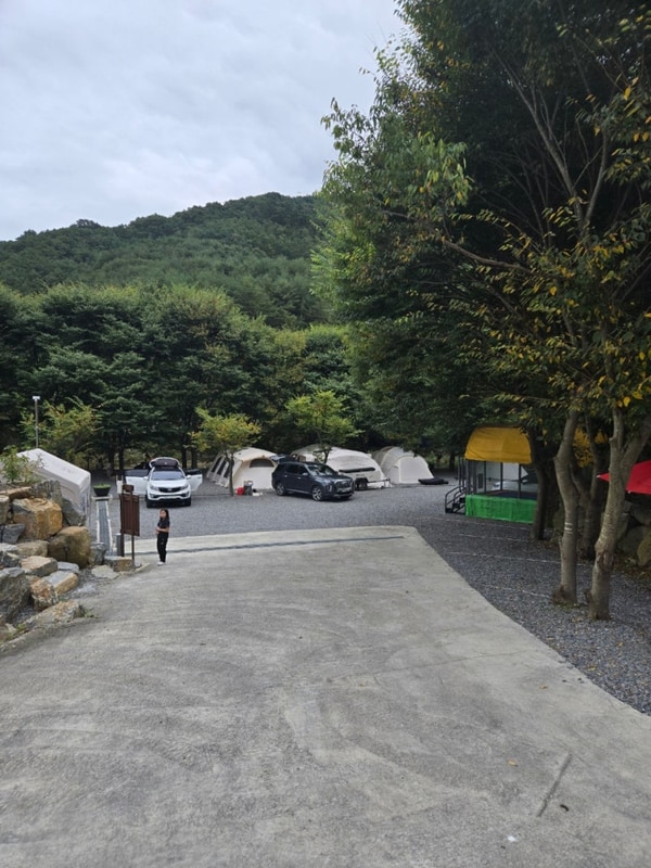 [강원도캠핑장추천]영월 법흥계곡캠핑오늘