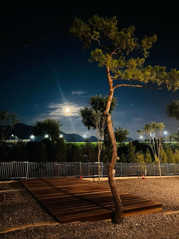 솔잎향캠핑파크 시설 사진 10