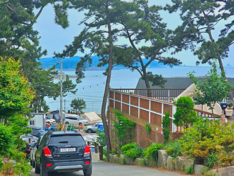 태안 어은돌힐링캠핑장 후기｜아이와 함께 해루질...