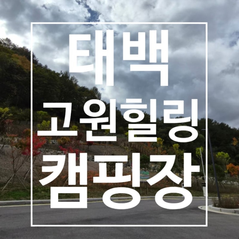태백고원힐링캠핑장 1박2일 완벽가이드 카라반 캠핑장 꿀팁...