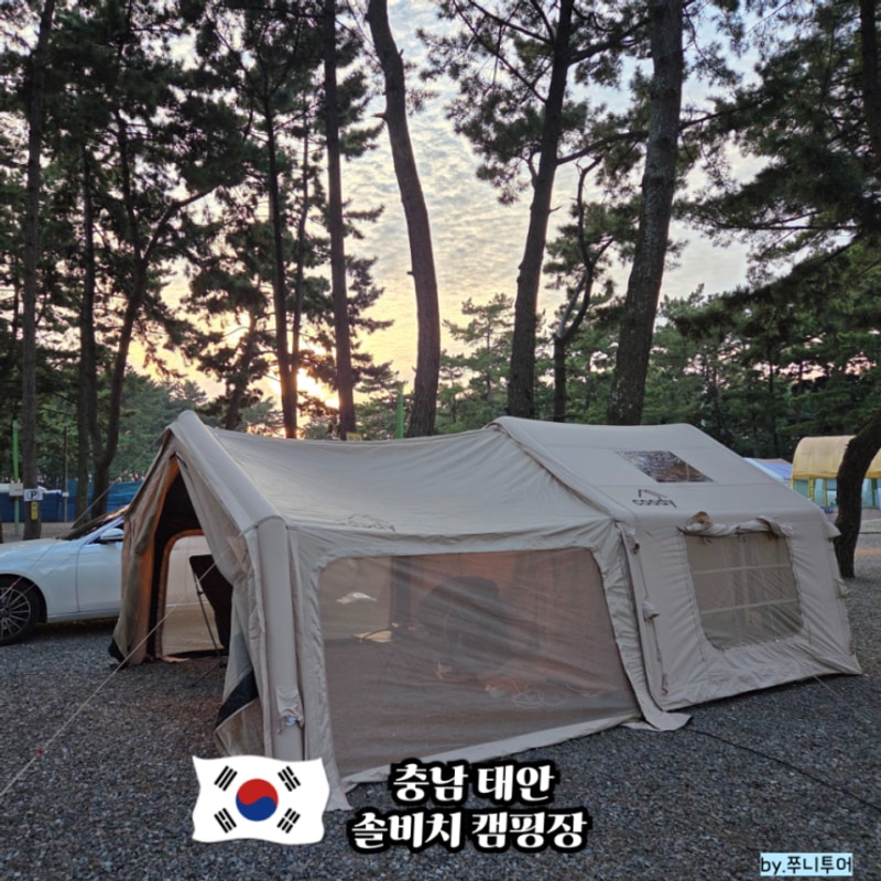 태안 캠핑장 추천 몽산포해수욕장 솔비치 캠핑장 후기(해루질...