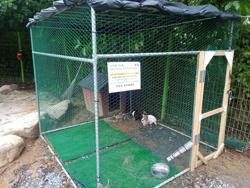 단양 무지개 오토캠핑장 시설 사진 9