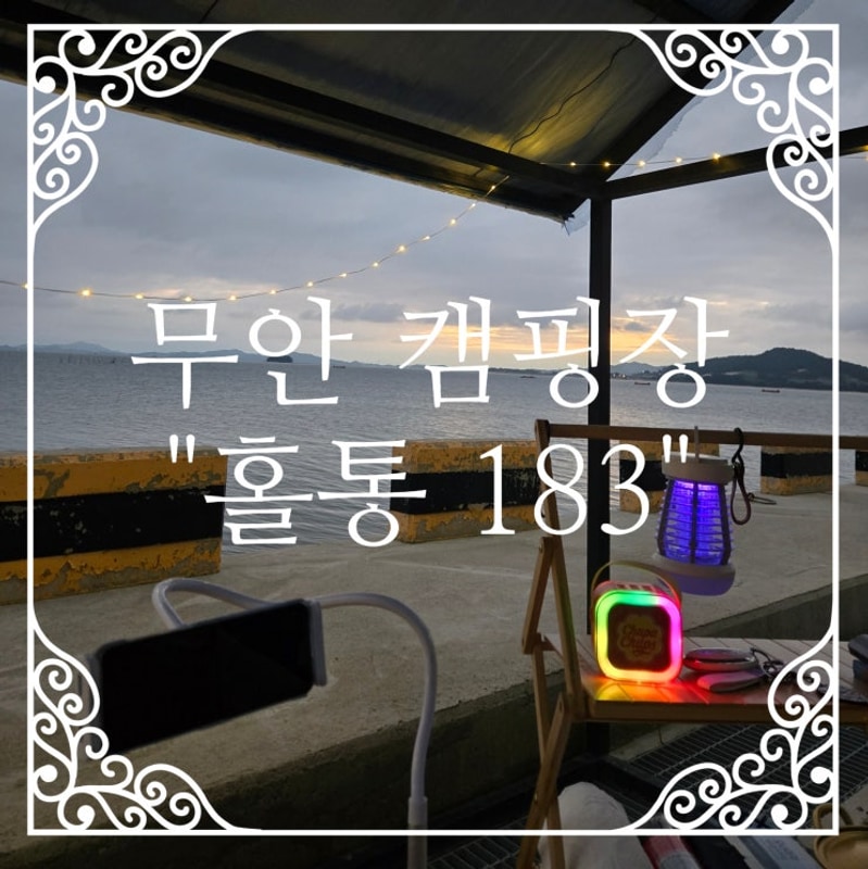 전남 오션뷰 오토캠핑장 무안 "홀통183 캠핑장"
