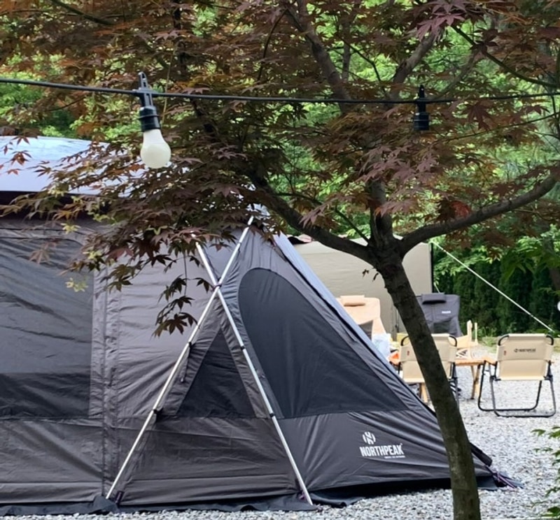 숲에 둘러싸인 오토캠핑장 추천 경북 고령 숲에안기다 캠핑장