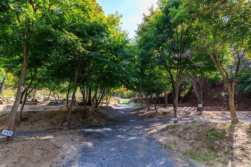 심천치유자연휴양림야영장 시설 사진 11