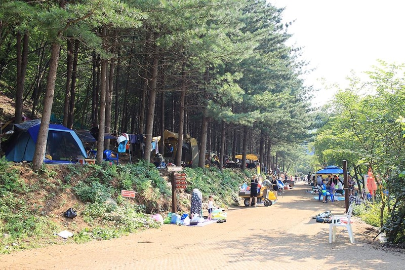 선바위자연캠핑장 시설 사진 13