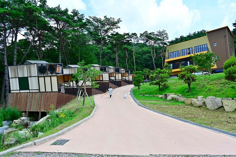 이숲e랜드 야영장 시설 사진 15