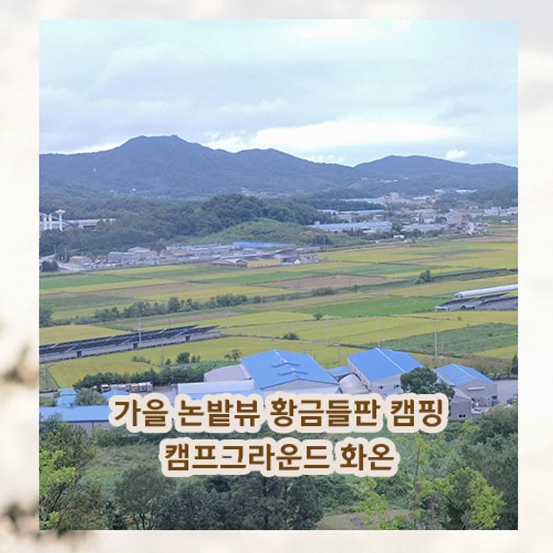 가을 단풍 캠핑 성지 아산 5성급 캠핑장 캠프 그라운드 화온 명당