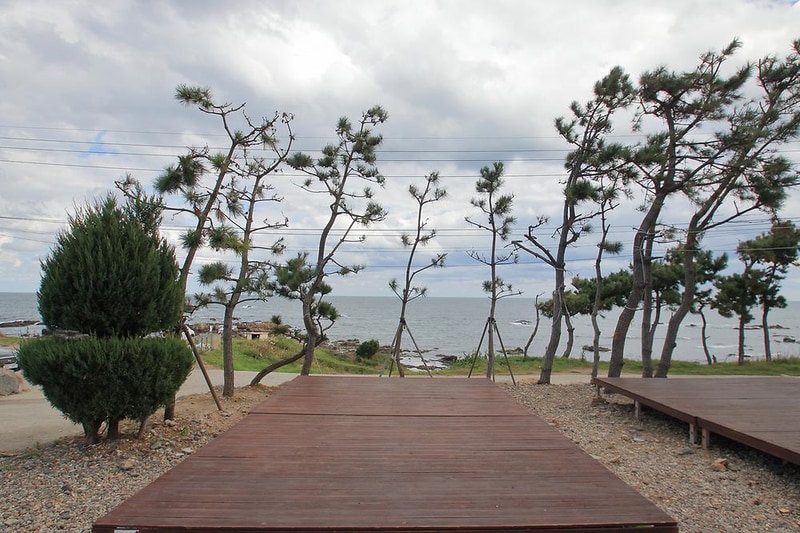 땅끝황토펜션야영장 시설 사진 1