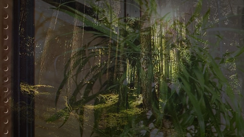 남원시 주말나들이 덕동자동차야영장