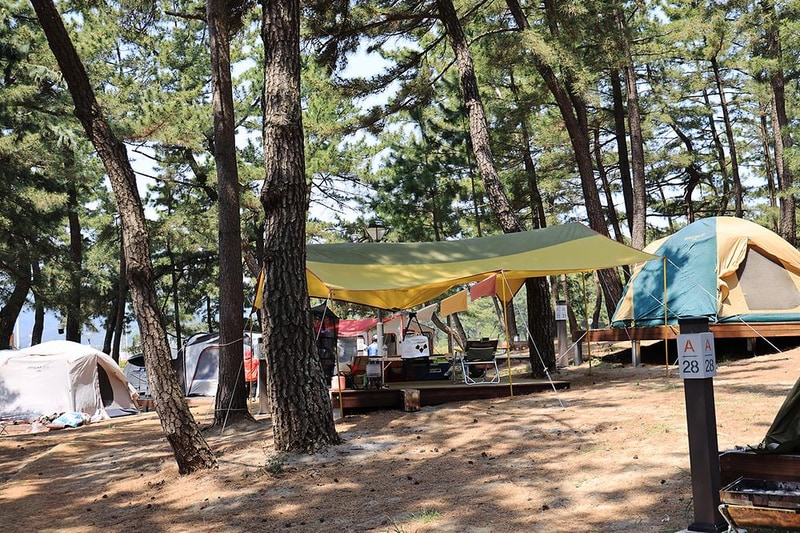 맹방 비치캠핑장 시설 사진 13