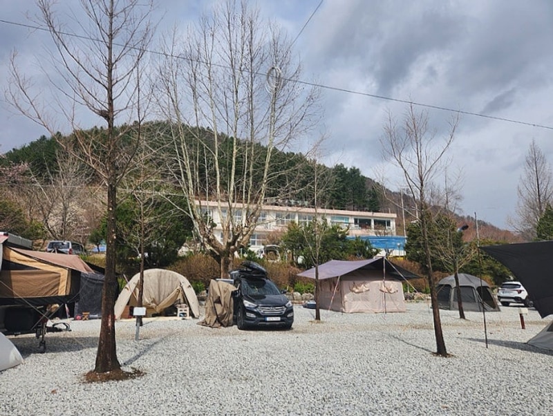 풋살장까지, 아이와 반려견과 함께 즐기는 제천 시골학교캠핑장