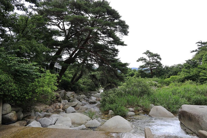 늘예솔글램핑 시설 사진 1