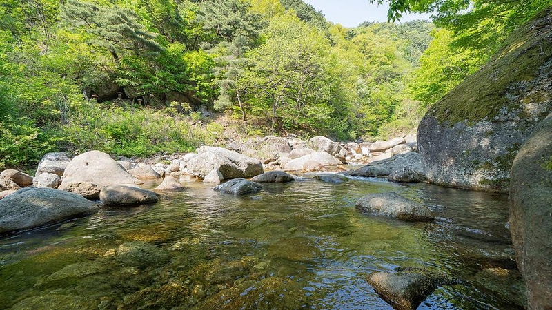하늘땅카라반 시설 사진 12