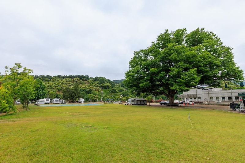 웰니스 권역 야영장 시설 사진 10