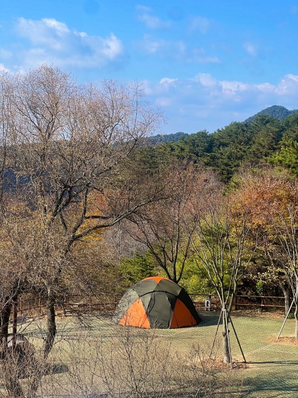 산청 황매산미리내파크 오토캠핑장 A1