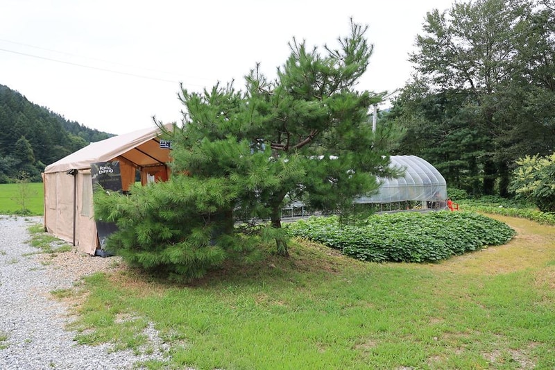 테토양평캠핑장 시설 사진 2