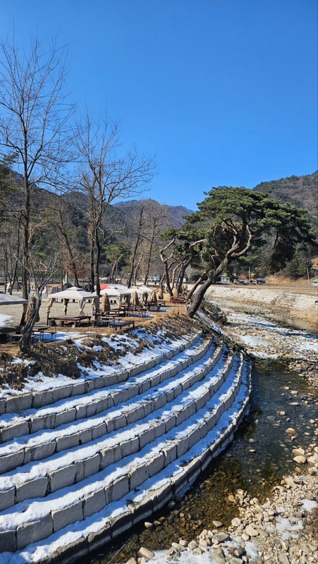자연 속 힐링 캠핑 명소, 강원 원주 칠봉송정캠핑장