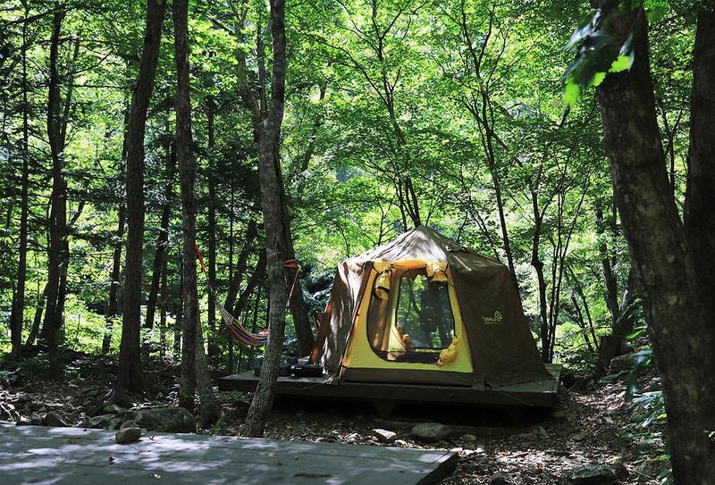 국립삼봉자연휴양림 야영장 시설 사진 8