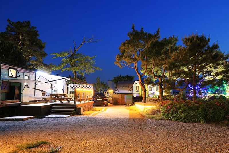 와우파크 대표 사진