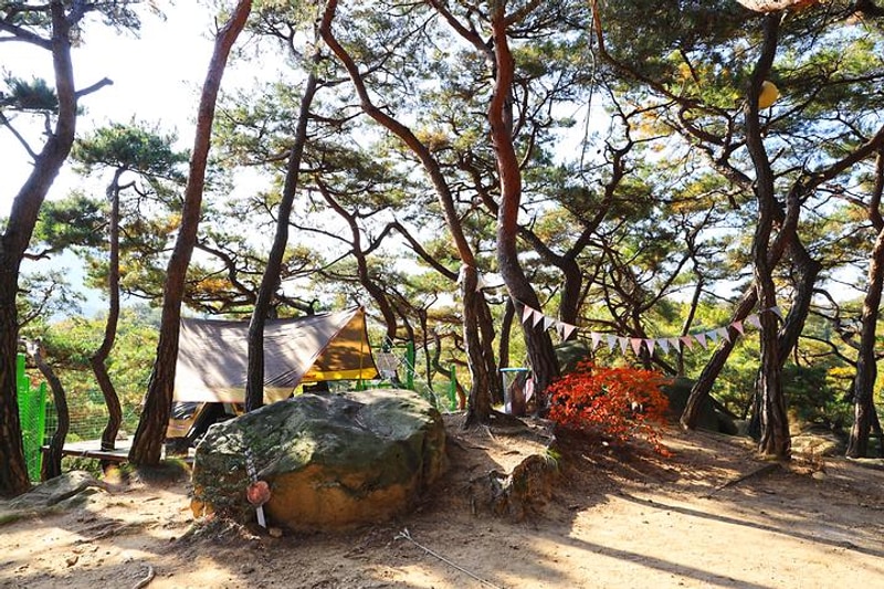 북한산농바위캠핑장 대표 사진