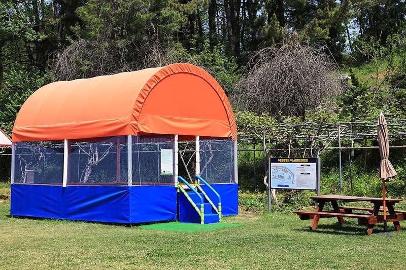 동해 주노글램핑장 시설 사진 8