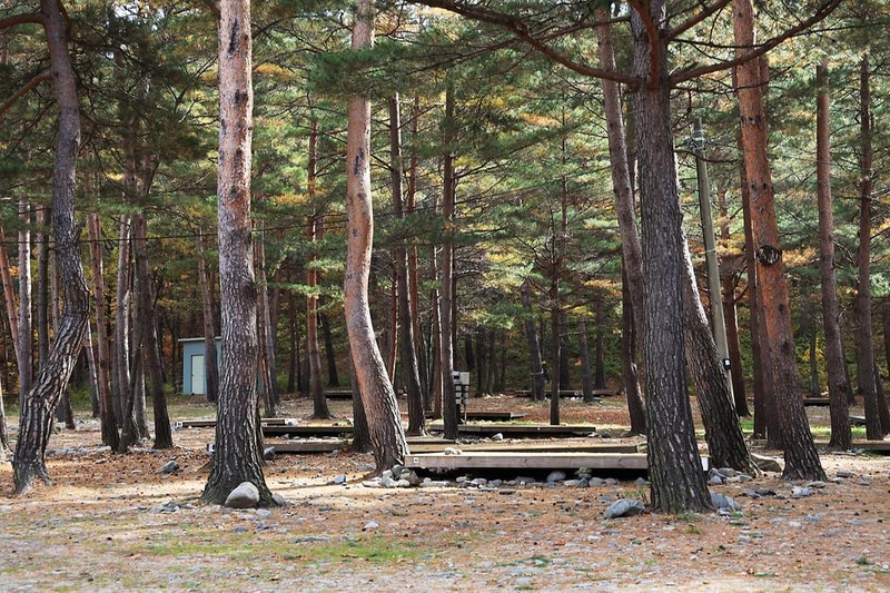 강릉 노추산 힐링캠프 시설 사진 1