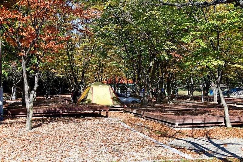 수승대야영장 대표 사진