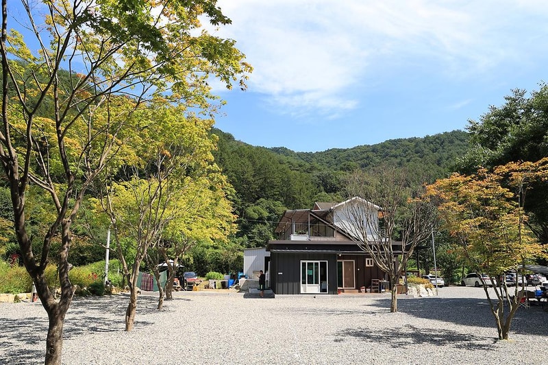 새솔캠핑장&펜션 시설 사진 4