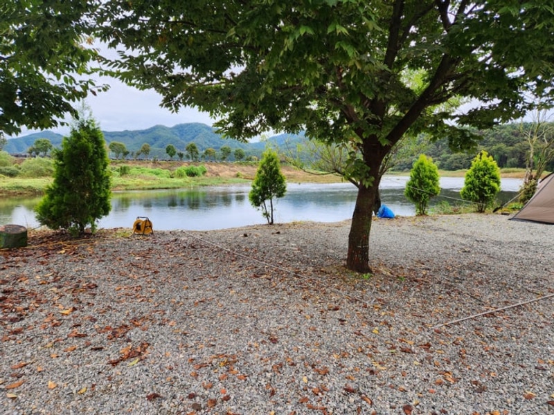 강원 홍천 캠핑 | 홍천강 뷰 용가리쌤 캠핑장_D1 (사이트소개...