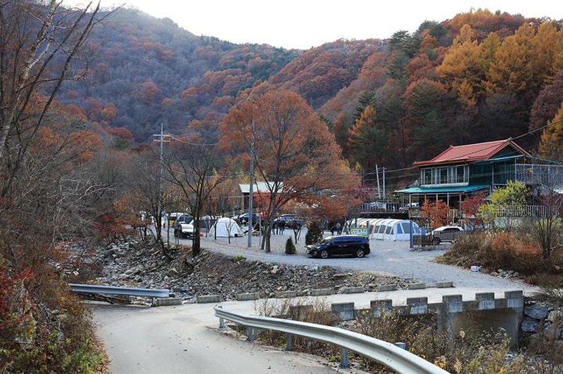 화기애애 단풍 캠핑장 대표 사진