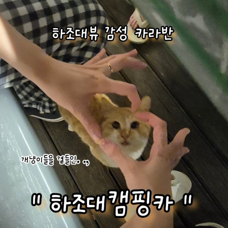 ::하조대캠핑카:: 하조대해수욕장까지 5초컷, 샤워실도 완벽한...