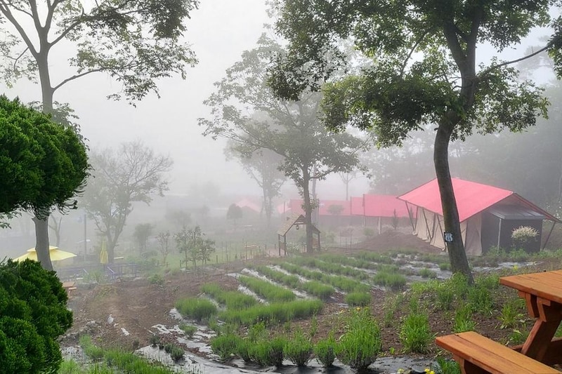 화순정원글램핑관광농원 시설 사진 1