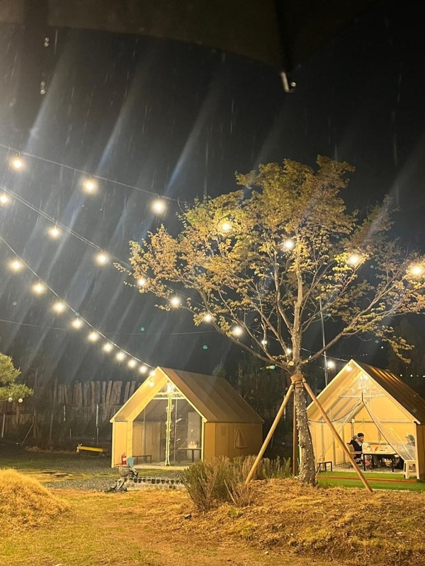 김해 캠핑장 휴파티에서 반려견과 편안하게 즐긴 바비큐 힐링...