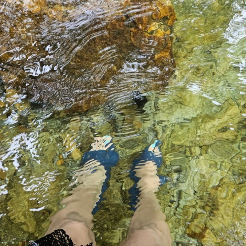 [가평 화악산계곡] 물놀이하기 좋은 펜션, 캠핑장 등 숙소...