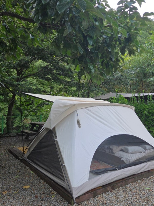 [후기] 충북 영동 물한계곡 별밤펜션캠핑장 단체야유회 장소 추천!