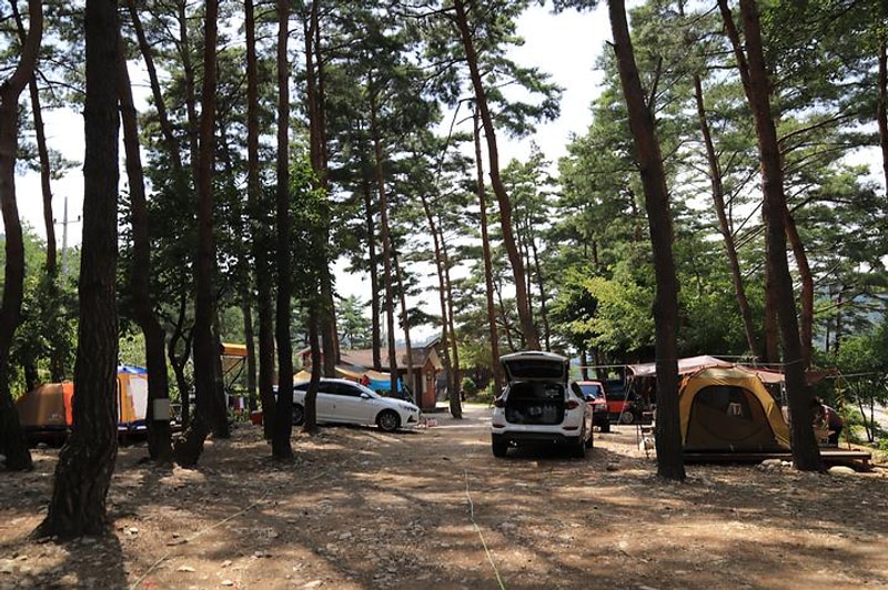 솔방울캠핑장 대표 사진