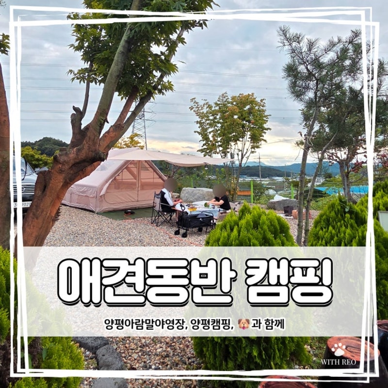 부모님과 강아지와 함께한 양평 캠핑(대형견 OK)⛺ | 아람말...