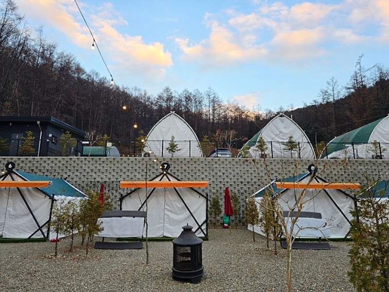 서울근교 글램핑 포천 바베큐 코코숲 바베큐&글램핑숲