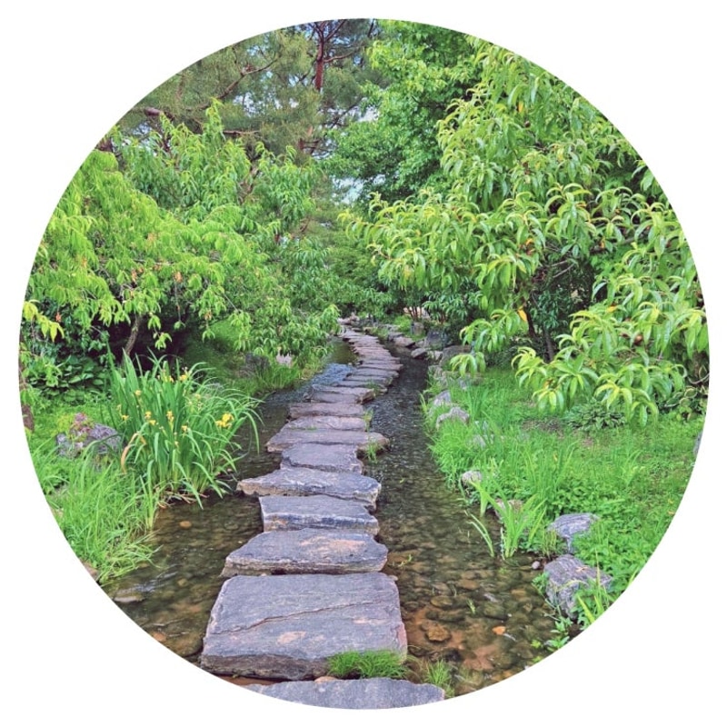 원주 치악신림 오토캠핑장 자연과 함께하는 힐링 여행 이야기