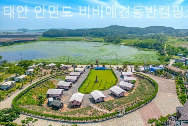 [태안/캠핑장/글램핑] 태안 안면도 비비애견동반캠핑장 초보...