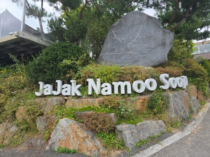 "[포천 청계호수 자작나무 숲 캠핑장] 데크11번 가족캠핑 후기...