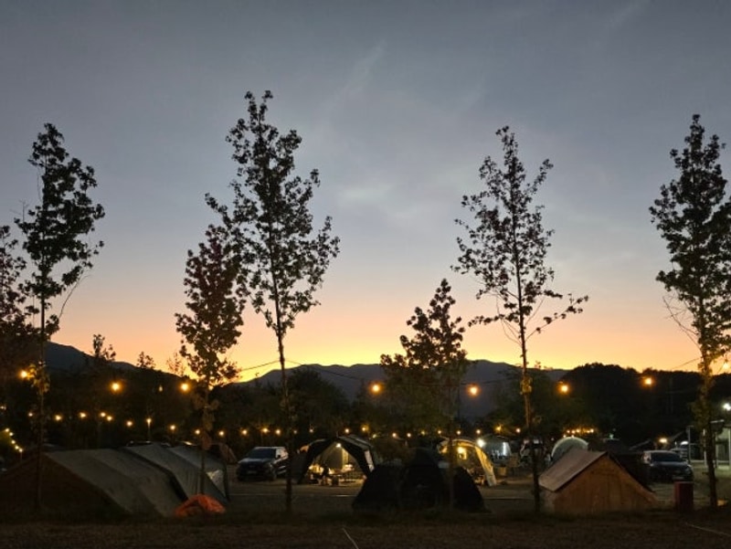 경북 신상 캠핑장 포항 서숲 오토캠핑장